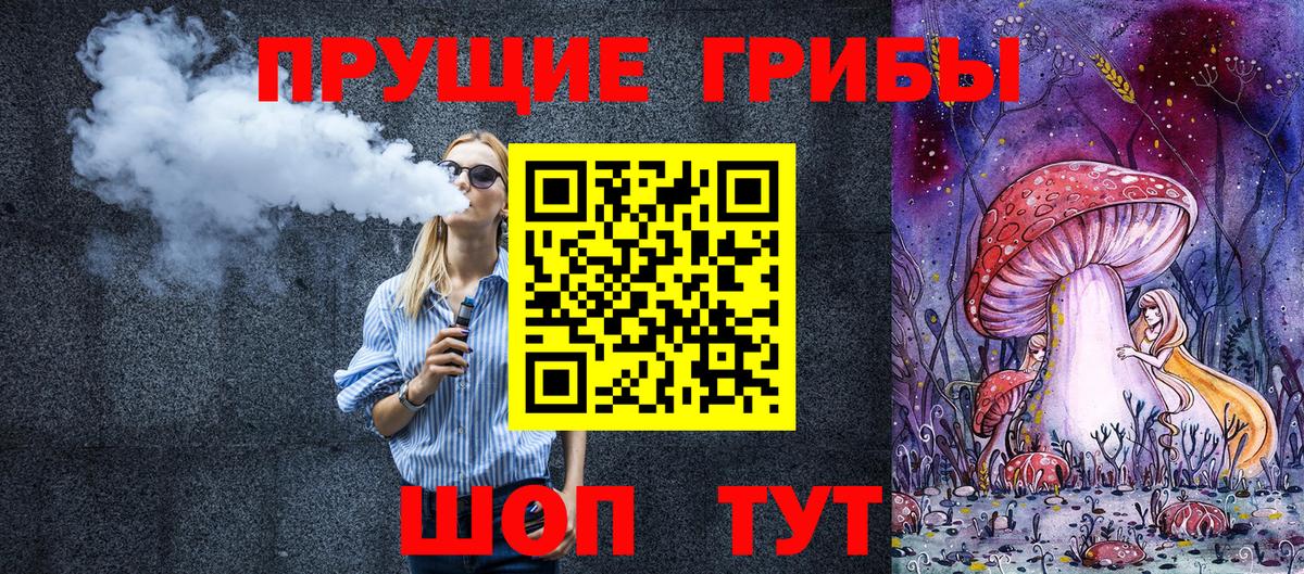 Фрязино  Псилоцибиновые грибы прущие грибы  Вход с VPN 
