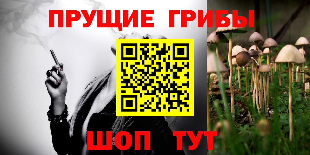 Галлюциногенные грибы Cubensis Фрязино