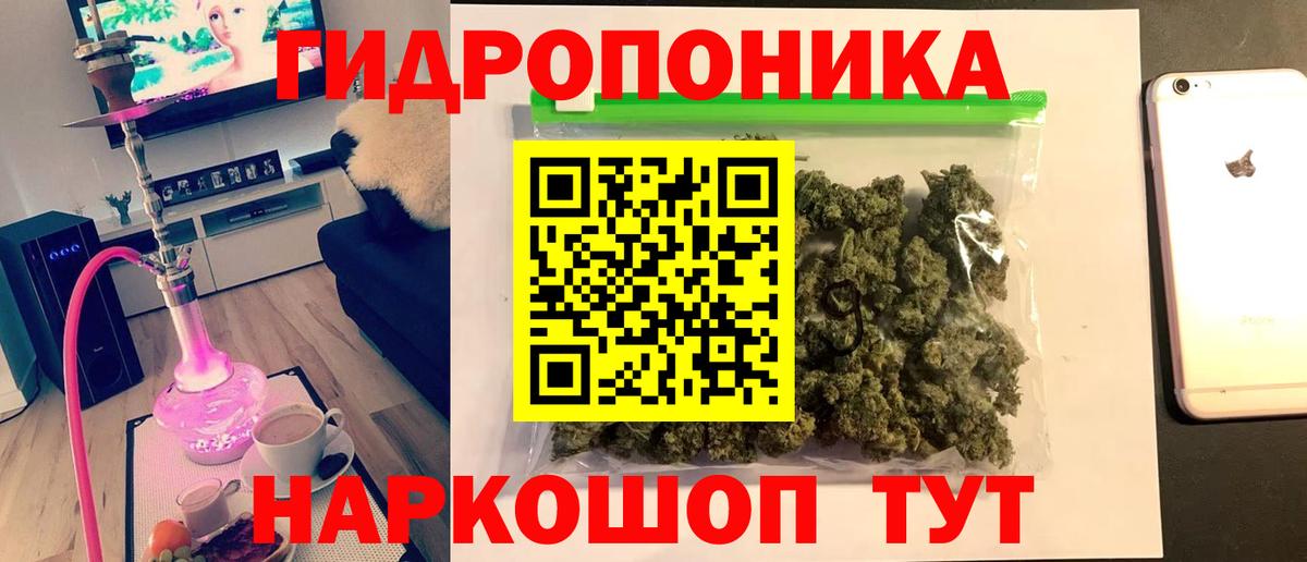 Бошки марихуана OG Kush  МАРИХУАНА план  Вход с VPN  Каннабис конопля  Бошки марихуана гибрид  Фрязино 